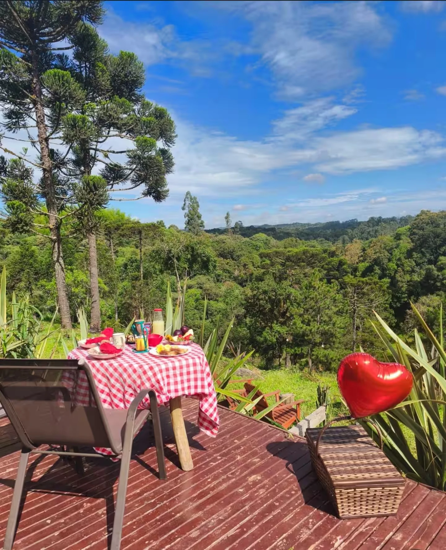 Mesa de café da manhã com toalha xadrez no deck, frutas, pães e suco, com vista para as araucárias